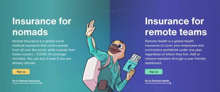 Digital nomad residency traveler necessity travelinglifestyle